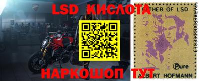 амф Новодвинск
