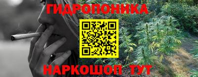 амф Новокубанск