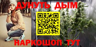 амф Новодвинск