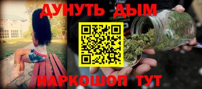 амф Новодвинск