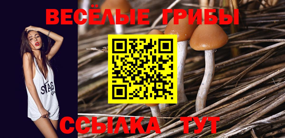 Галлюциногенные грибы Psilocybe  Галлюциногенные грибы Magic Shrooms  Вход с VPN  Нижний Новгород 
